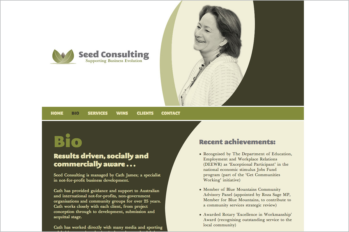seed-consulting-not-for-profit-web-design-02