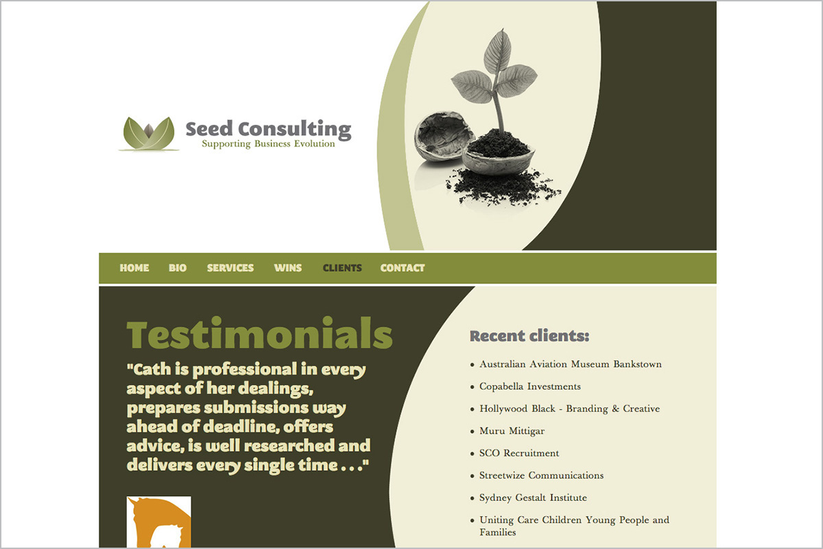 seed-consulting-not-for-profit-web-design-04