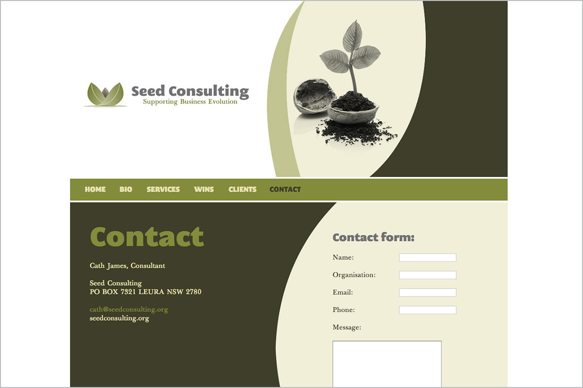 seed-consulting-not-for-profit-web-design-05