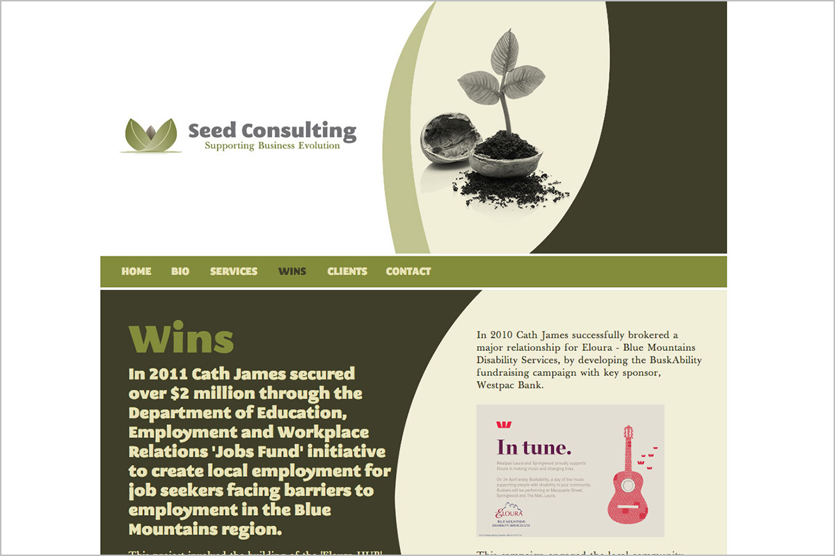 seed-consulting-not-for-profit-web-design-03